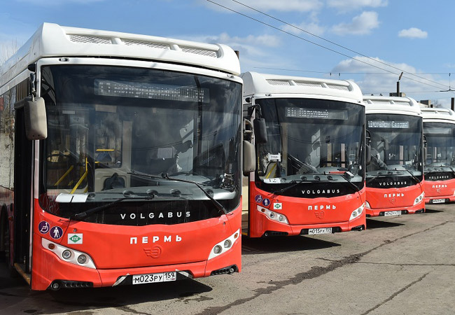 Новый автобус, Пермь